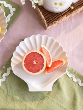 The Jilly Box Meri Meri Bamboo Seashell Plates Set of 6 Jillian Harris Summer